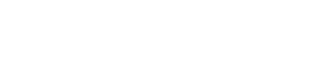 White Logo of Solutions IT