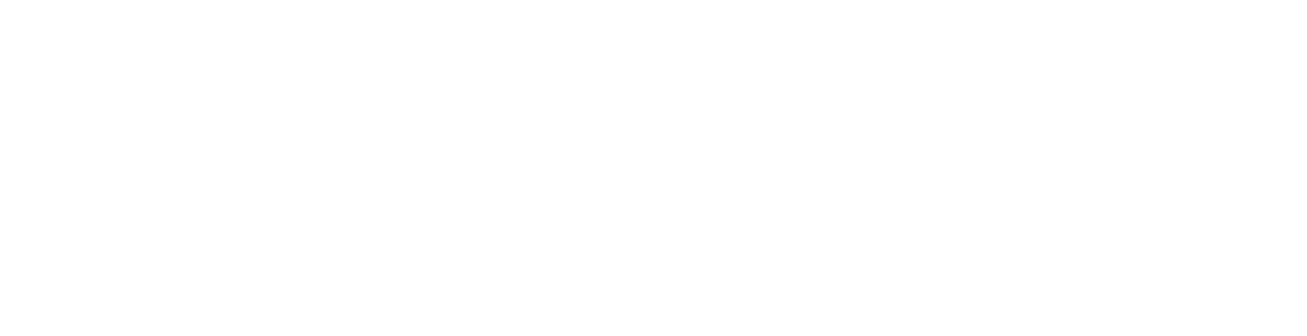 White Logo of Solutions IT